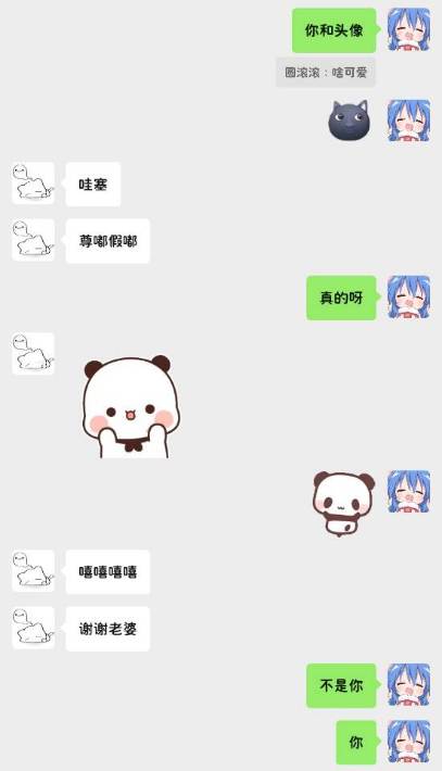 mmexport1774236274114-1